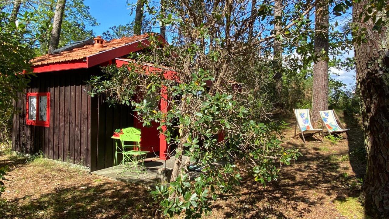 Le Petit Poulailler Au Beau Milieu Des Pins Villa Lacanau Ngoại thất bức ảnh