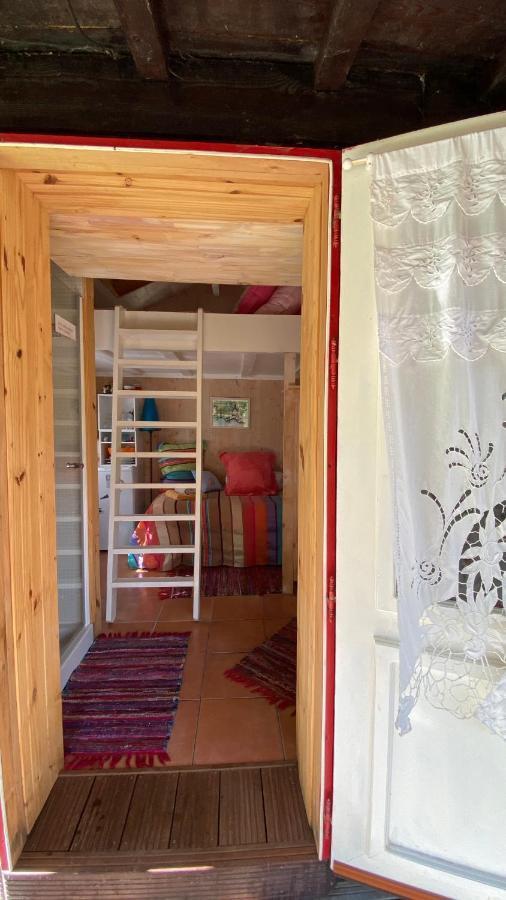 Le Petit Poulailler Au Beau Milieu Des Pins Villa Lacanau Ngoại thất bức ảnh