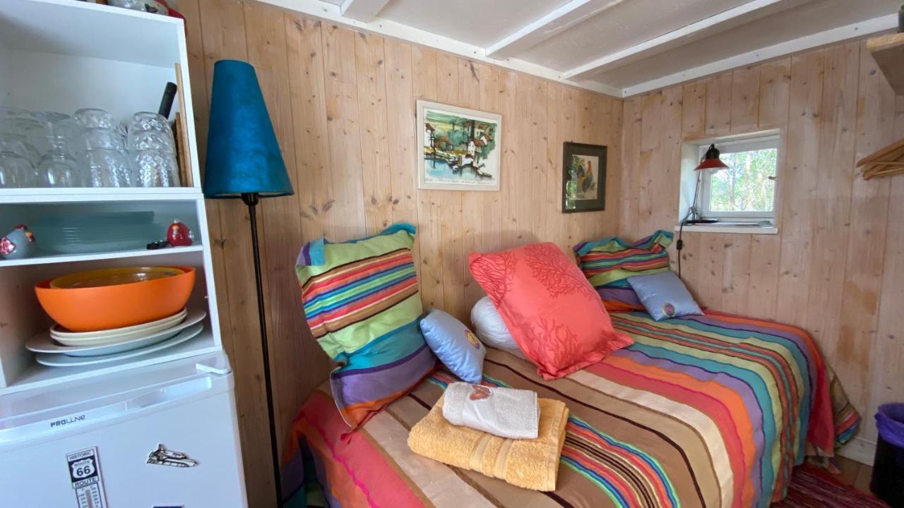Le Petit Poulailler Au Beau Milieu Des Pins Villa Lacanau Ngoại thất bức ảnh