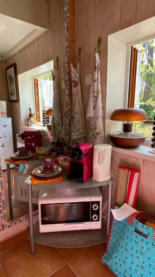 Le Petit Poulailler Au Beau Milieu Des Pins Villa Lacanau Ngoại thất bức ảnh