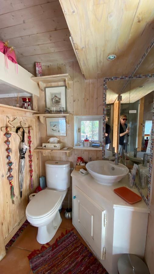 Le Petit Poulailler Au Beau Milieu Des Pins Villa Lacanau Ngoại thất bức ảnh