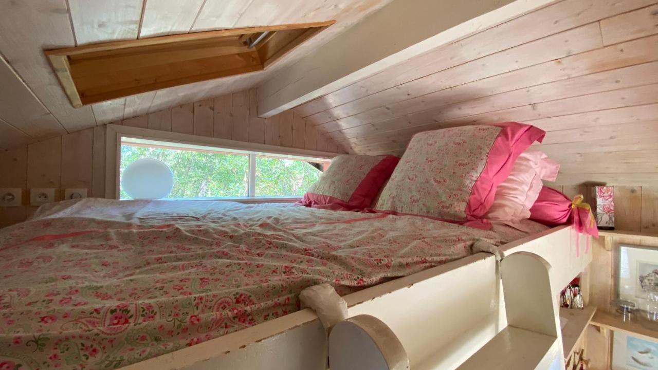 Le Petit Poulailler Au Beau Milieu Des Pins Villa Lacanau Ngoại thất bức ảnh