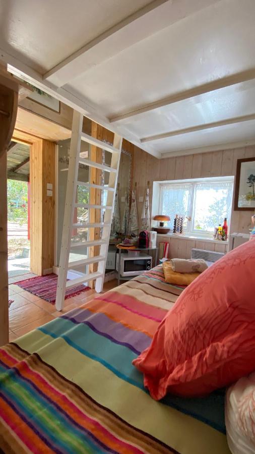 Le Petit Poulailler Au Beau Milieu Des Pins Villa Lacanau Ngoại thất bức ảnh